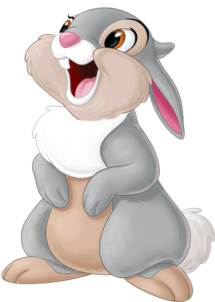 Thumper photo
