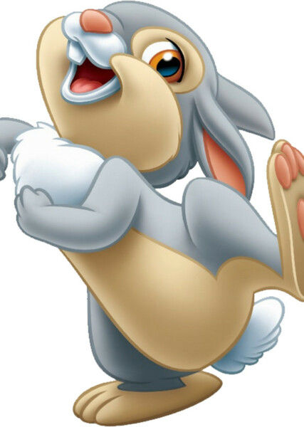 Thumper photo
