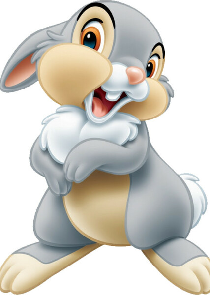 Thumper photo