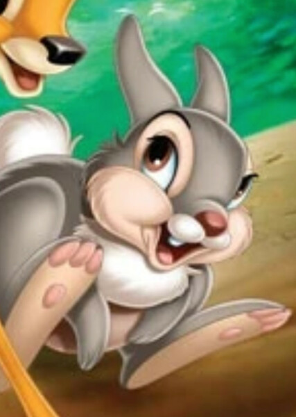 Thumper photo