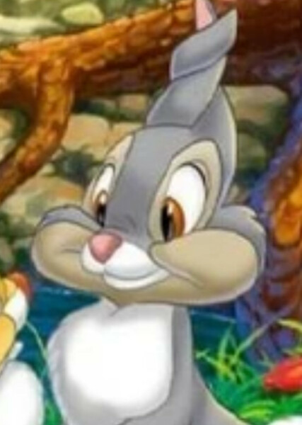 Thumper photo