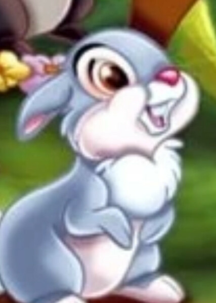 Thumper photo