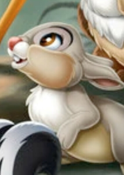 Thumper photo