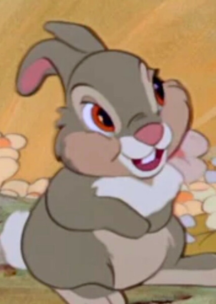 Thumper photo