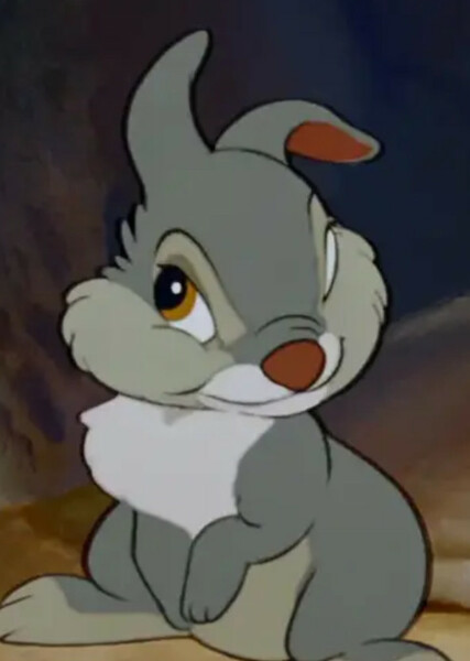 Thumper photo