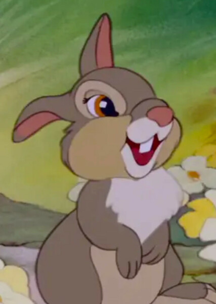 Thumper photo