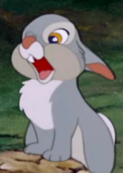 Thumper photo
