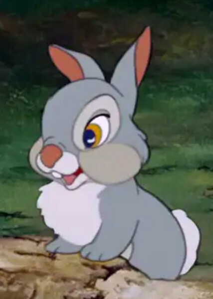 Thumper photo