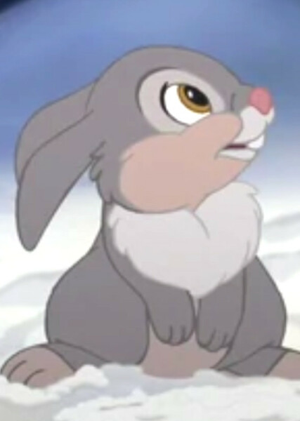 Thumper photo