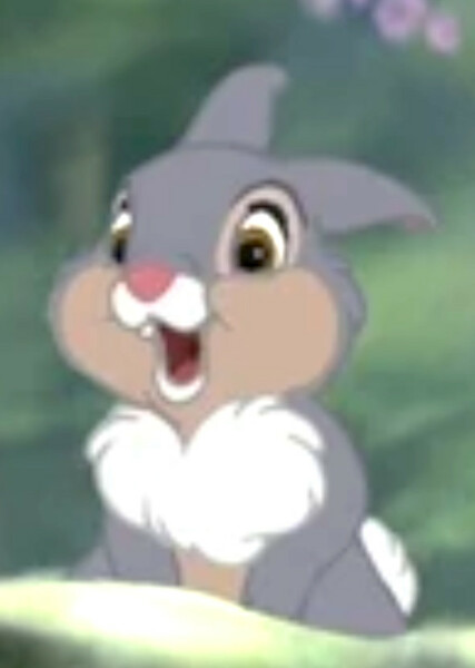 Thumper photo