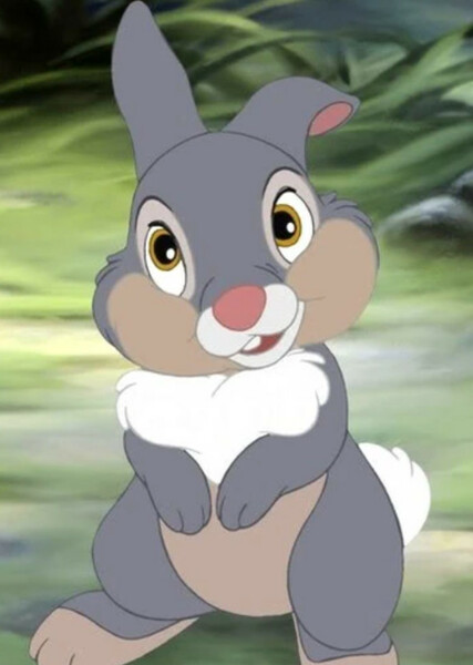 Thumper photo
