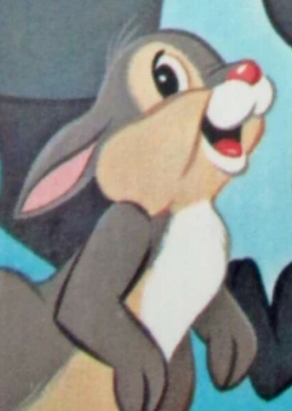 Thumper photo