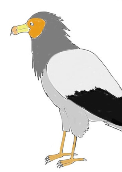 Thunderbird photo