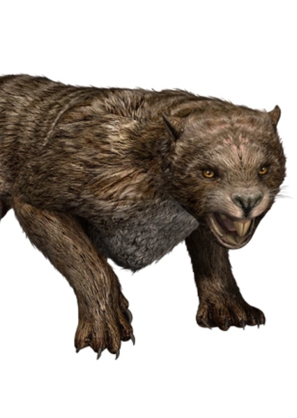 Thylacoleo photo