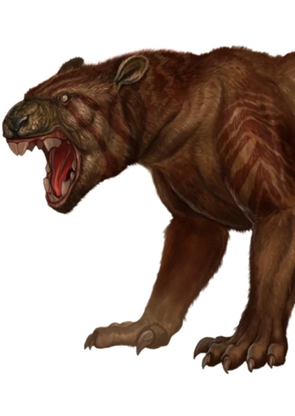 Thylacoleo photo
