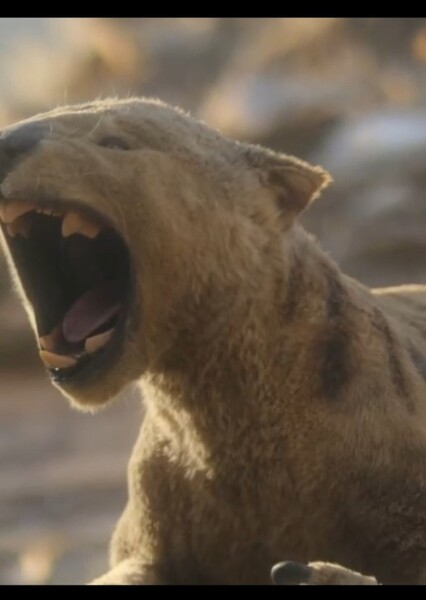 Thylacoleo photo