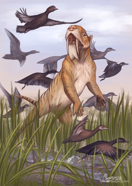 Thylacosmilus photo