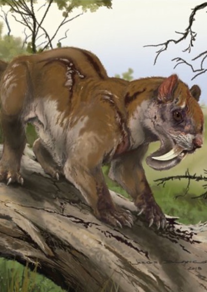 Thylacosmilus
