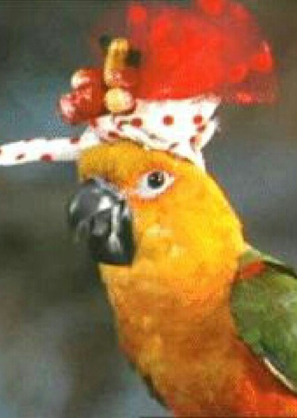 Tia Texada photo
