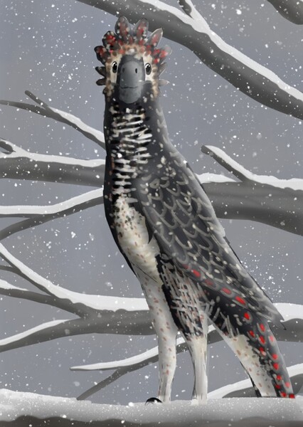 Tianyuraptor