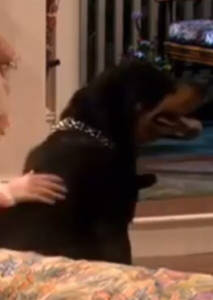 Tiberius (Drake & Josh)