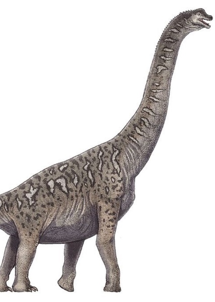 Tienshanosaurus photo