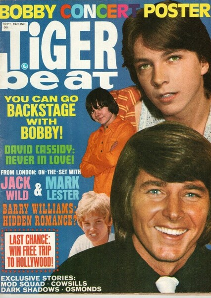 Tiger Beat photo