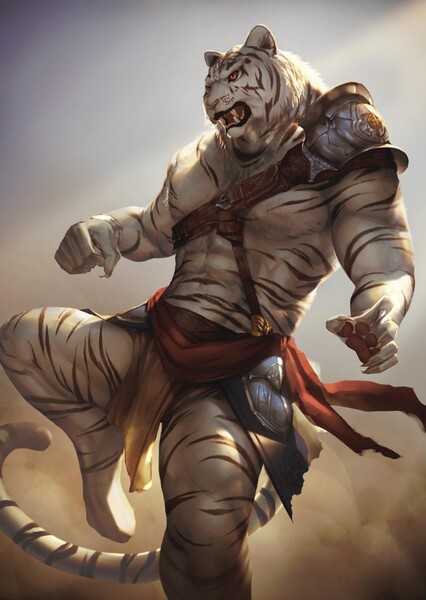 Tigerfolk photo