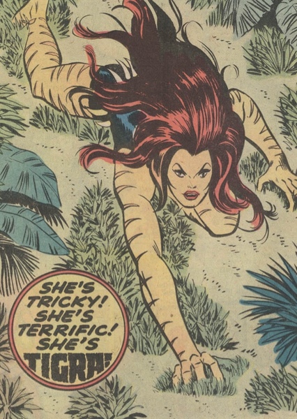 Tigra photo