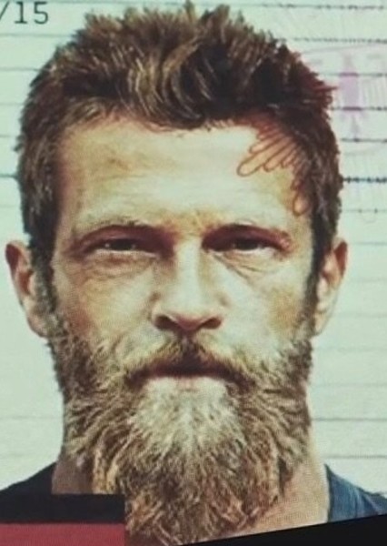 Til Schweiger photo