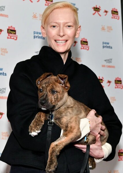 Tilda Swinton photo