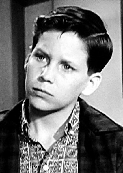 Tim Matheson photo