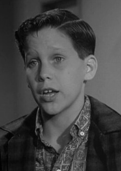 Tim Matheson photo