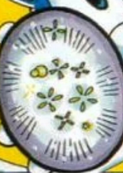 Time Stones photo