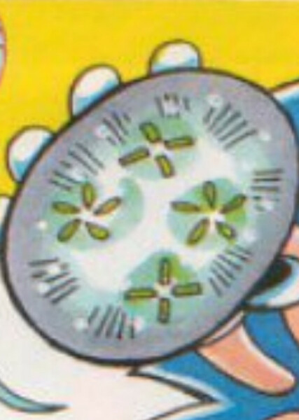 Time Stones photo