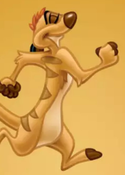 Timon photo