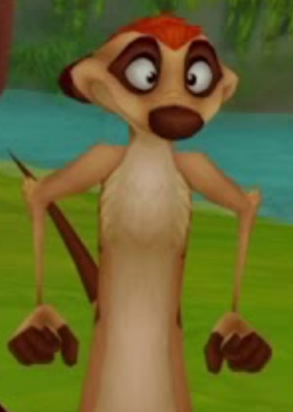 Timon photo