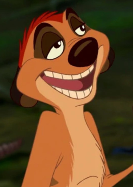 Timon photo