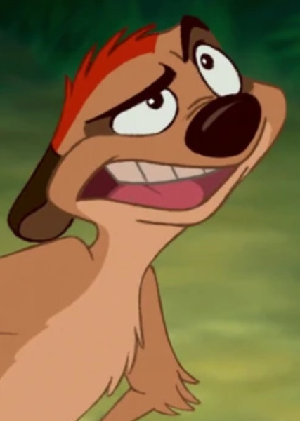 Timon photo