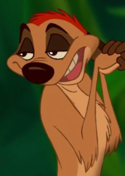 Timon photo