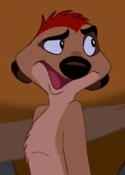Timon photo