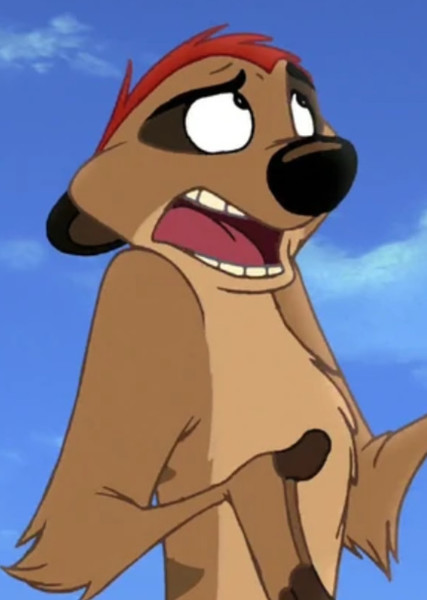 Timon photo