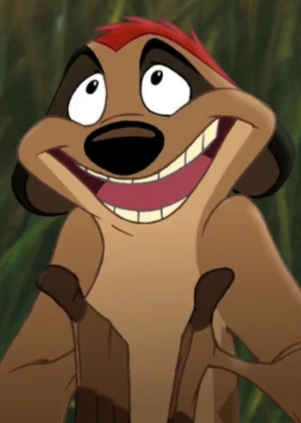 Timon photo