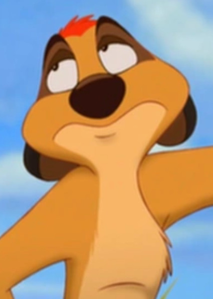 Timon photo