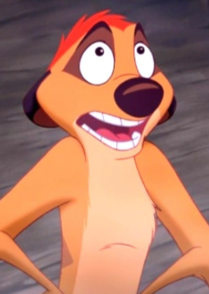 Timon photo