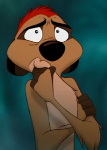 Timon photo