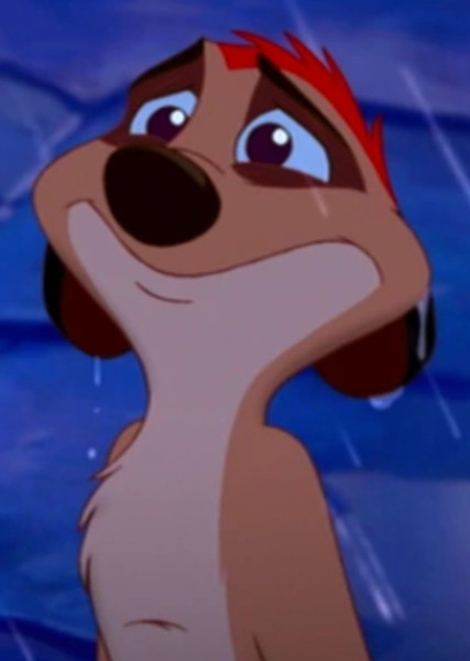 Timon photo