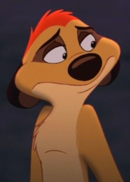 Timon photo