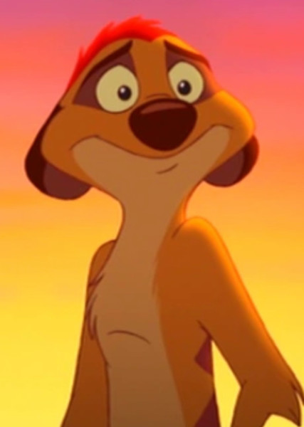 Timon photo