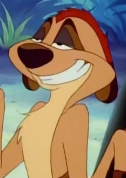 Timon photo